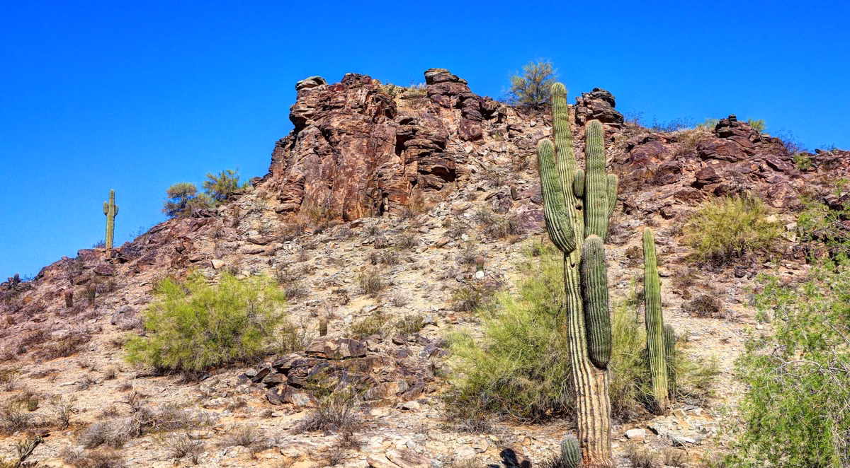 A jagged rocky peak above saguaros and desert shrubs in South Mountain Park and Preserve