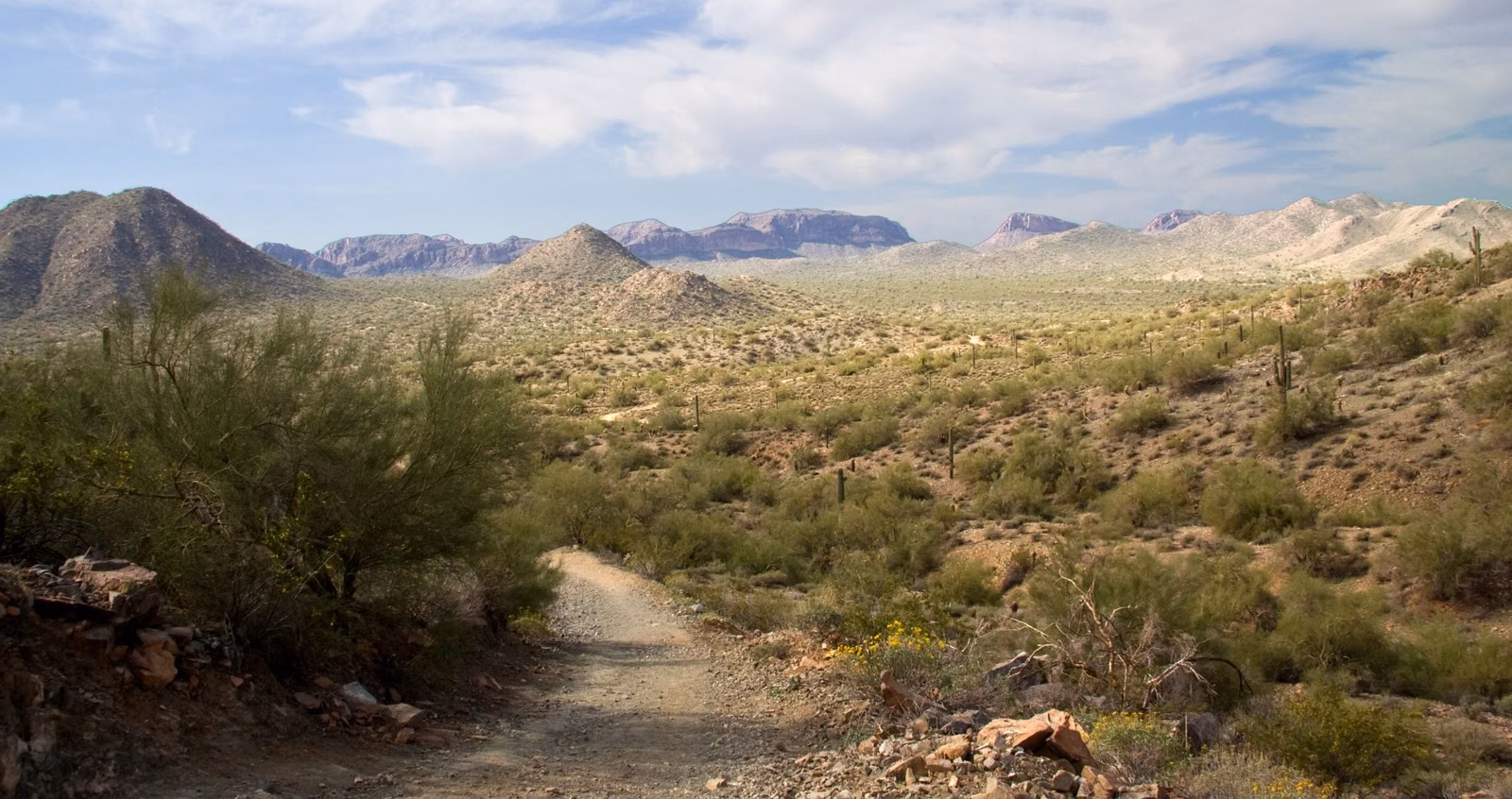 A packed-dirt trail through desert trees and shrubs with low mountains on the horizon, in San Tan Regional Park near Queen Creek