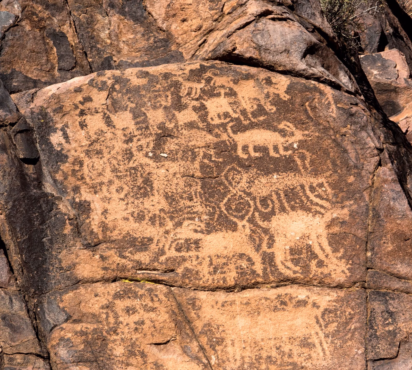A panel of Hohokam petroglyphs on a dark rock face in the Superstition Mountains east of Phoenix
